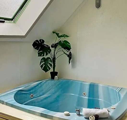 罗托鲁瓦科奇曼spa汽车旅馆